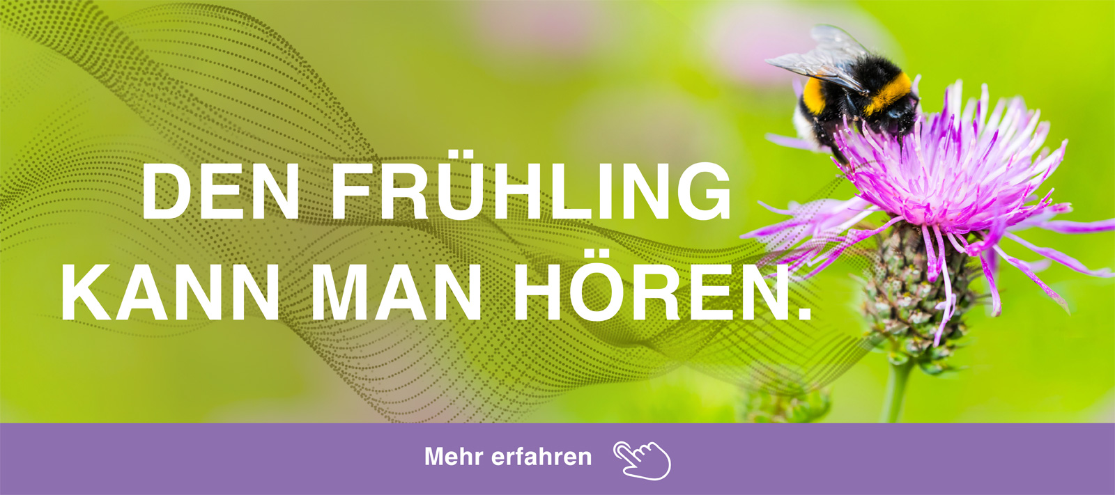 Den Frühling kann man hören - Hör von Knoop